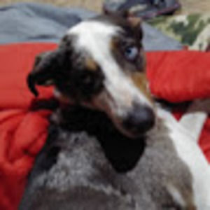 Meet your Posher, Derek